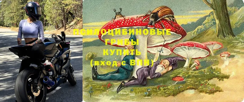 Псилоцибиновые грибы мухоморы  Кимовск 